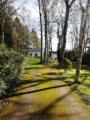 Le coin de Magali Malmedy